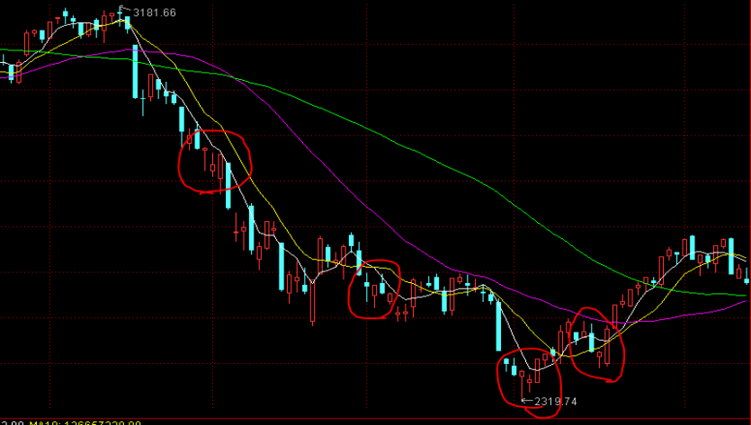 塑造高辨识度的湛江夜宵IP