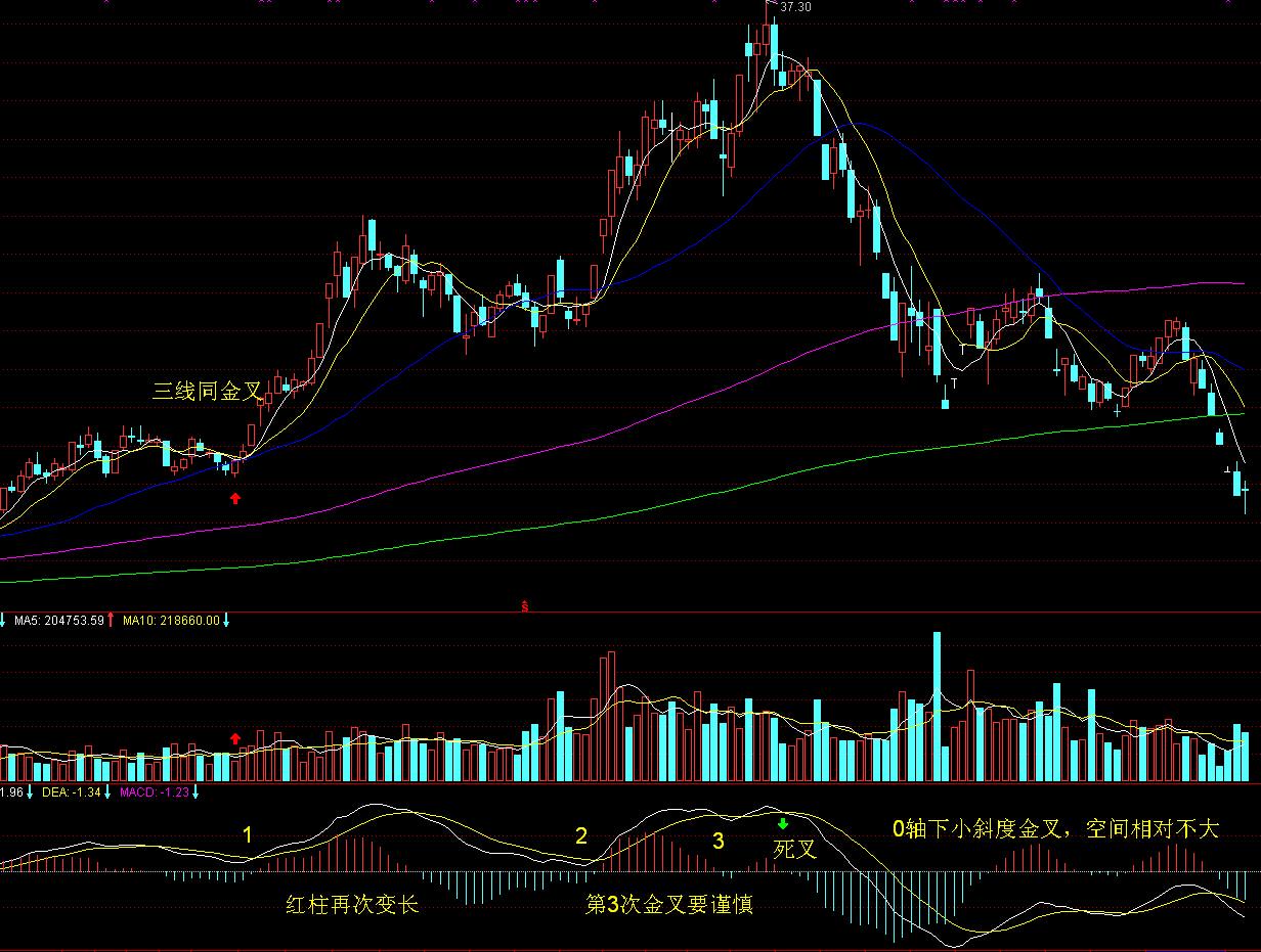塑造高辨识度的湛江夜宵IP